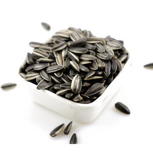 Hot selling sunflower seed to export human consumption Natural growth
