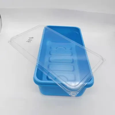 Household Medicine Plastic Blister Storage Box with Lid