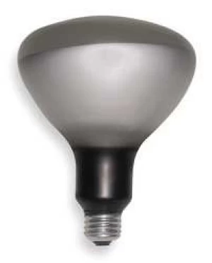 Incandescent Reflector Lamp R40 250W
