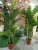 Import Indoor artificial palm trees plants bonsai plants decorative for sale from China