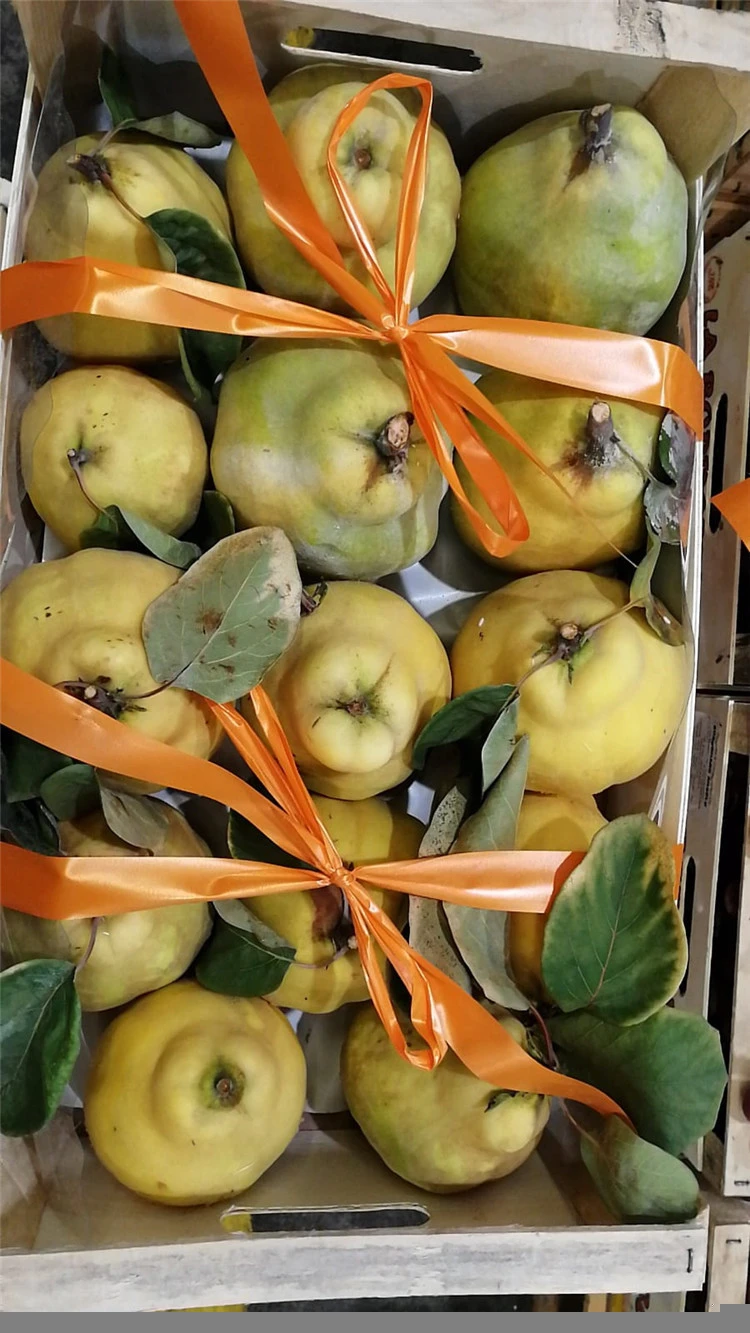 Italian Fresh Pears Quinces Pear Fruit Fresh
