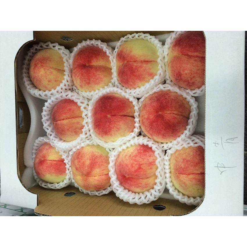 Japan provide inspection one by one crisp sweet peaches fresh