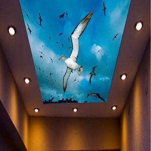 Pvc Stretch False Buy Lackfoile Pvc Stretch False Ceiling Tile from Shanghai Zon Color ...