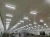 Import Latest wholesale cheap customized design indoor ip65 tri-proof led light for food factory from China