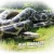 Import Life size animal animatronic snake model  for sale from China