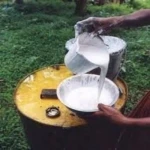 Liquid latex rubber 60% drc high ammonia from POLAND