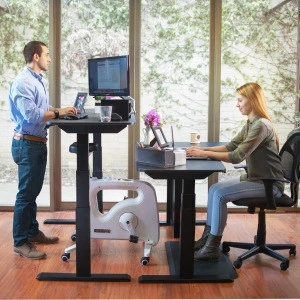 Loctek ET201 electric dual-motor height adjustable lift sit stand desk frame for office and home use office desk