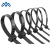 Import Low Price Cable Ties Car Accessories 6&#x27;&#x27; 2.5X150mm from China