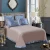 Import Luxury Tribute satin Pure nature bamboo fiber bedding sets bed sheet 100% Cotton bedding sets BSS527 from China