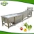 High Performance Cabbage Industrial Bubble Washer Machine