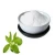 Import Manufacture stevia white extract powder price from China