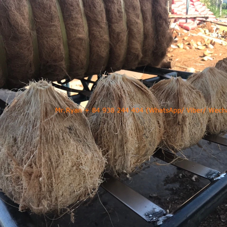Matured fresh coconut semi husked coconut Viet Nam 300 USD/ ton (Ryan +84938244404)