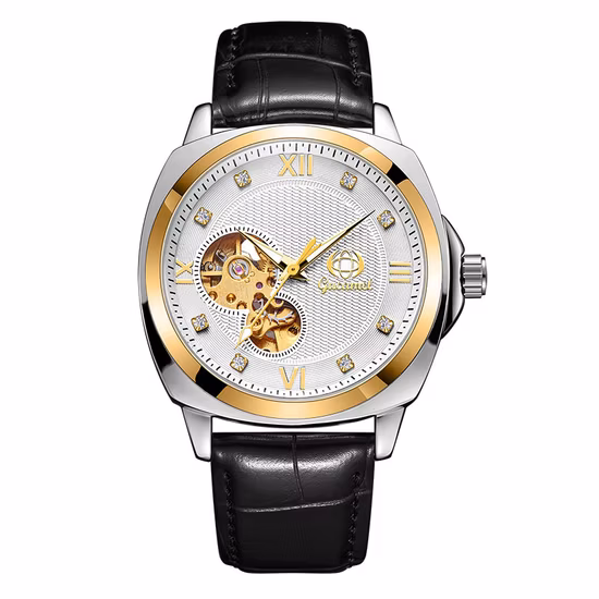 Mechanical Watches for Men Skeleton Automatic Moon Phase Men?s Business Relojes Wristwatch Waterproof Moons Watch