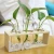 Import Medium creative hydroponic plant  transparent glass vase wooden frame vase from China