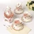 Import modern luxury coffee& tea set with glass teapot from China