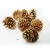 Import Most Popular Artificial Exquisite Christmas Pine Cones For Wedding Decorative from China