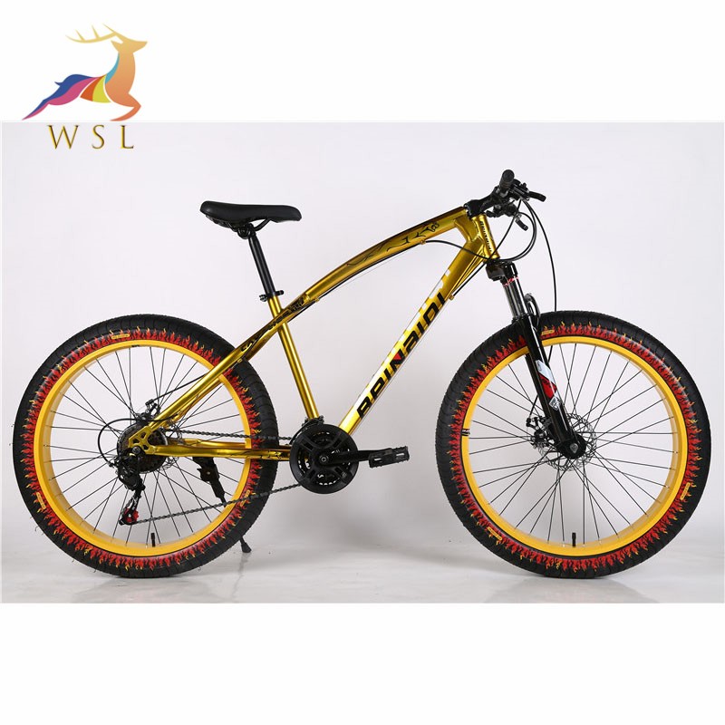 Mountain Full Suspension Fat Tire  Bicycle Max Men Steel Frame fat tire bicycle with good quality and best after sales service