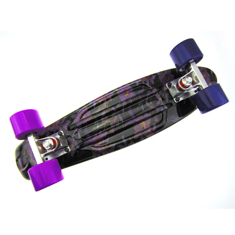 Mountain Type Bearings ABEC-7 Complete Skateboards Graphic 27 Retro Style long boards skate board longboard