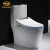 Import Multi-function durable smart intelligent sanitary waterproof bidet seat toilet  cover from China