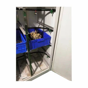 Multifunctional Hydroponic Peanut Sprouting Equipment