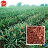 Muriate of potash with 0-0-60 fertilizer