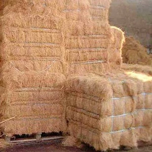 natural coconut palm mattress/coir mattress/coconut fiber mattresscoconut fibre mattress