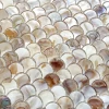 Natural color Fan shape shell wall decorate mosaic made by mother of pearl  mosaic tiles