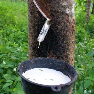 Natural rubber, Latex 60% HA DRC, Thailand origin Natural rubber Latex Metal drum