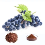 Natural Top Quality 95% OPC Grape Seed Extract