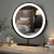 Import New arrvials round Illuminated smart mirror lighted led mirror makeup from China