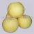 Import new crop Fresh Golden delicious Apple (88/100/113/125) from China