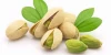 New crop Pistachio Nuts, Pistachio in Shell (2020)
