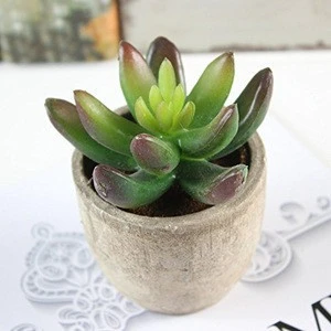New design mini Artificial Succulent Plants in Mini Modern Planter Pots artificial air plants for Home Decor Indoor