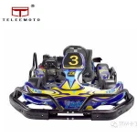 New Generation Adult Racing Go Kart/Karting Cars for Sale