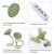 Import New product high power lotus-shaped led grow lights with 360 degree flexible gooseneck for indoor plants seeding growing from China