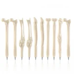 Novelty skull shape ball pens Bone Shape Ballpoint Pen Finger Pen Nurse Doctor Pen Stationery Gift