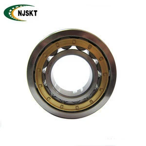 NSK Cylindrical Roller Bearings 20*47*18mm OEM Customized Services Bearing NU2204EW