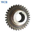OEM External Large Modulus Spur Metal Pinion Worm Gear