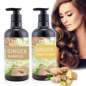 Oem Odm Sulfate Free Shampoos And Conditioner Set Anti Hair Loss Dry Black Hair Growth Private Label Wholesale Ginger Shampoo