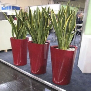 Office Plants Ornamental Artificial Snake Plant