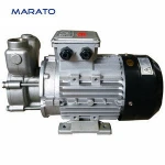 Oil Immersion Type Long Life Hot Oil Pump For The Mold Machine