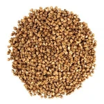 Organic buckwheat kernel /buckwheat seed / buckwheat hull