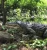 Import Other amusement park products mechanical life size realistic robotic Crocodile from China