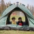 Import Outdoor Waterproof Ultralight 3 Man Camping Winter Mountaineering Camping Tents from China