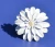 Import Pearl Flower Napkin Ring wedding dinner decor Metal Napkin Holder Ring from USA