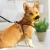 Pet Comfortable Soft Dog Muzzle Quick Release Anti-barking Cover Mask