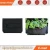 Import Plant growing ideas,mini vertical garden supplies from China