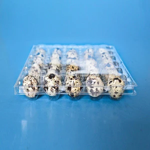 Plastic Clear quail egg tray