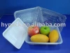 Plastic vegetable/Fruit/meat packaging Plate/Tray