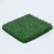 Import Portable   25MM Natural  Leisure Outdoor  ECO-friendly  Labosports standard Grass Artificial Turf from China